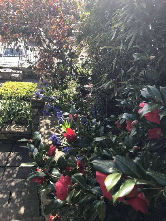 The Castle Hotel ビショップス・キャッスル エクステリア 写真